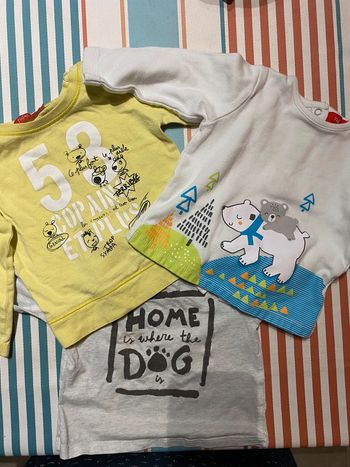 Lot 3 tee shirts manches longues