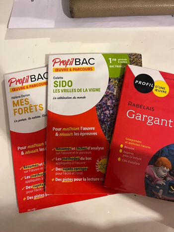 Profil bac