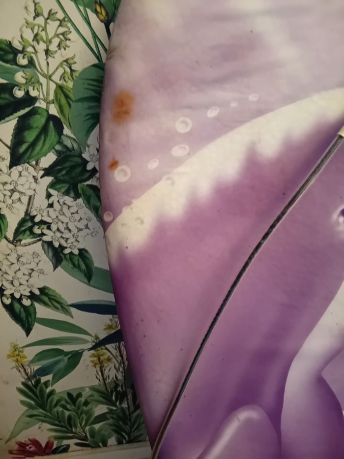Bodyboard violet avec dauphins - photo numéro 2