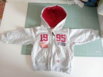 Gilet gris CARS