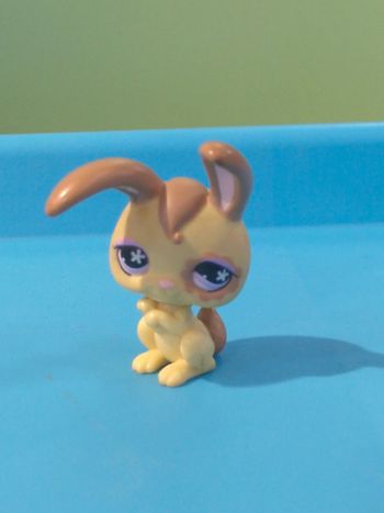 littlest Petshop lapin