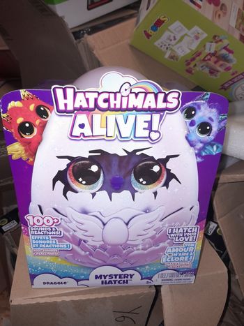 Hatchimals alive oeuf