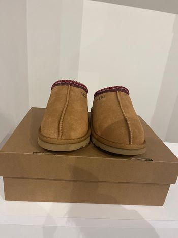 Ugg Tazz Marron 