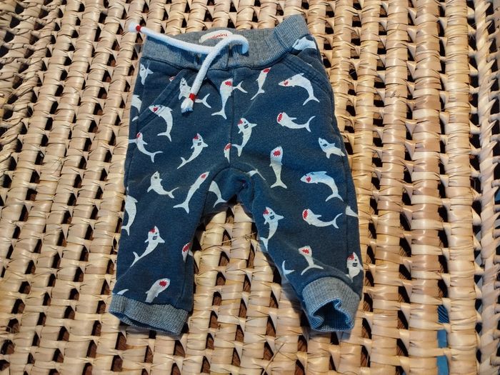 Pantalon 3 mois catimini - photo numéro 2