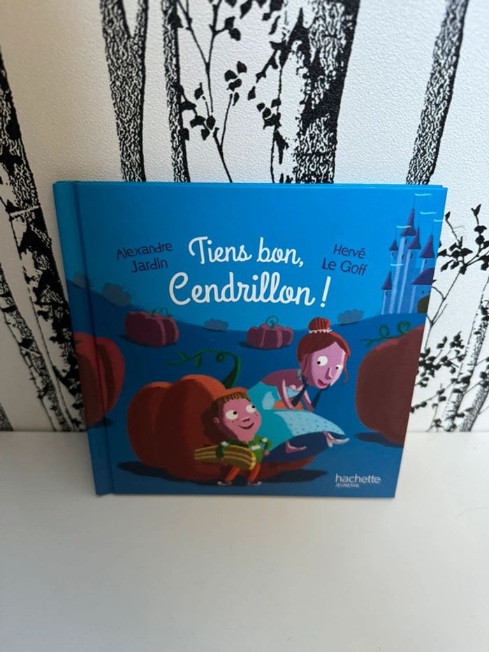 Livre McDo tiens bon, cendrillon !