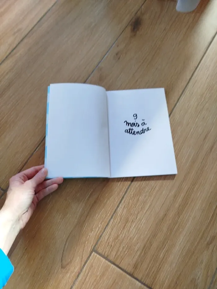 Livre de grossesse - 9 mois à t'attendre - photo numéro 2