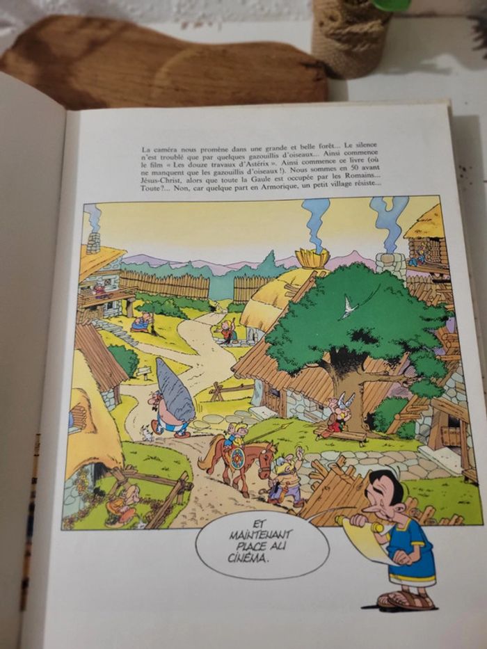 Bd livre "Les 12 travaux d'Asterix" Dargaud - photo numéro 9