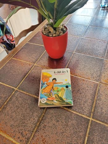 Le club des 5 joue et gagne bibliothèque rose