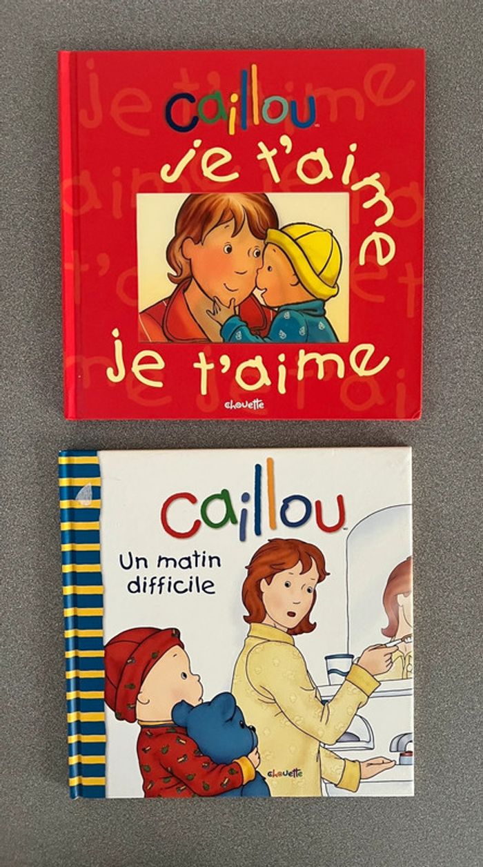 Lot de 6 livres collection Caillou Édition Chouette - photo numéro 4