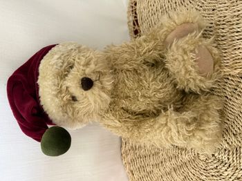 doudou ours vintage Bukowski