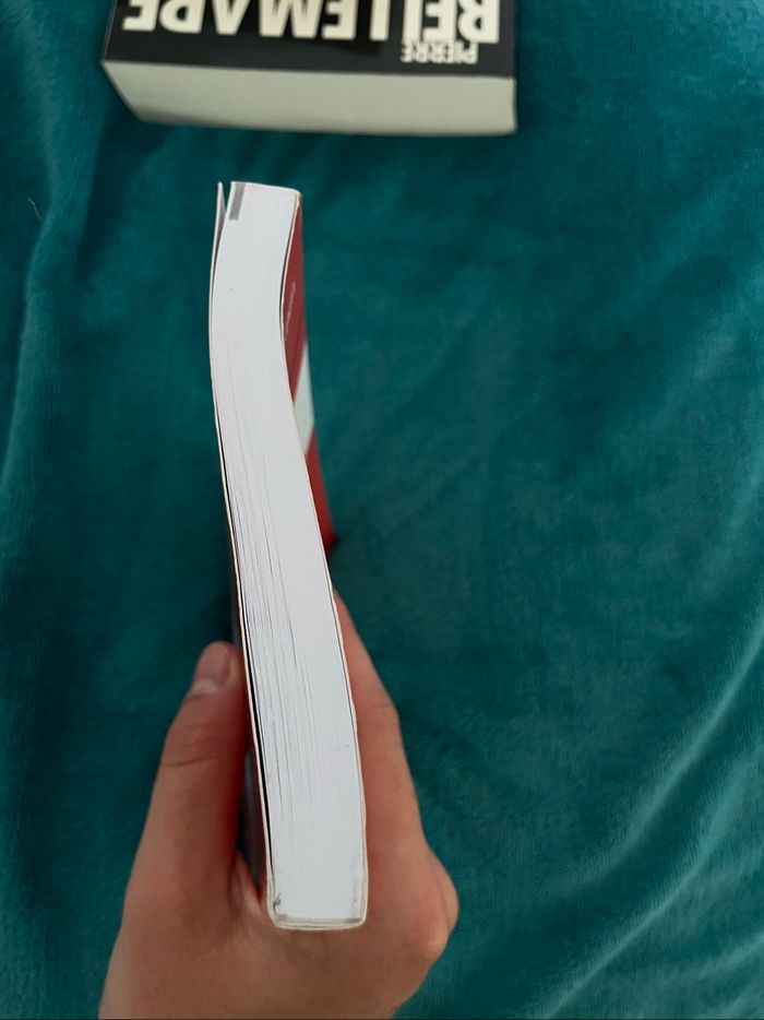 Droit constitutionnel - photo numéro 4