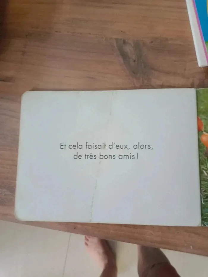 Livre pour enfants - photo numéro 8