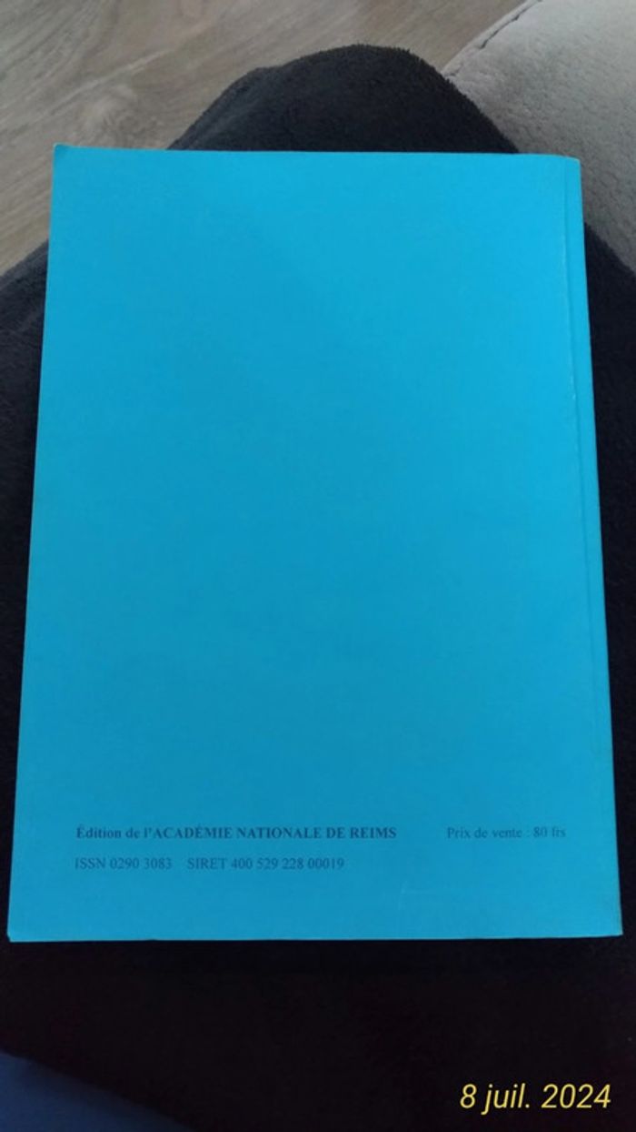 Journal de Guerre 1914-1918 Cardinal Luçon - photo numéro 2