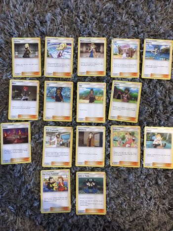 Cartes Pokémon dresseur supporter