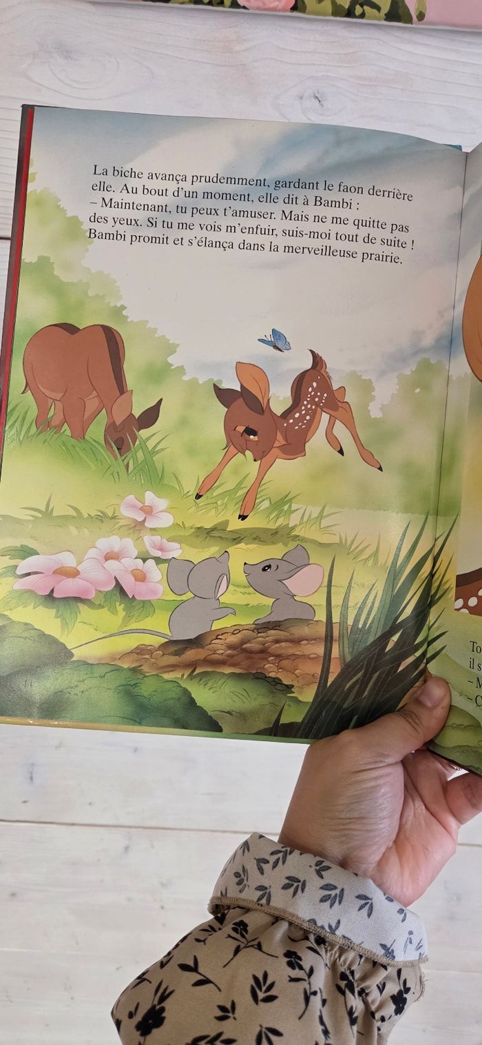 Bambi - photo numéro 2