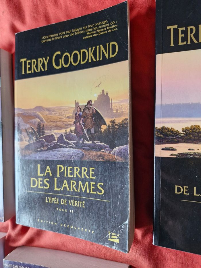 Saga L'épée de vérité ou Legend of the seeker - photo numéro 8