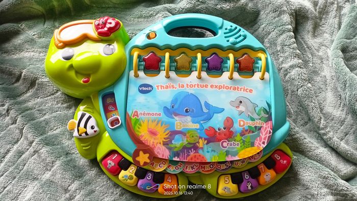 Thaís la tortue exploratrice