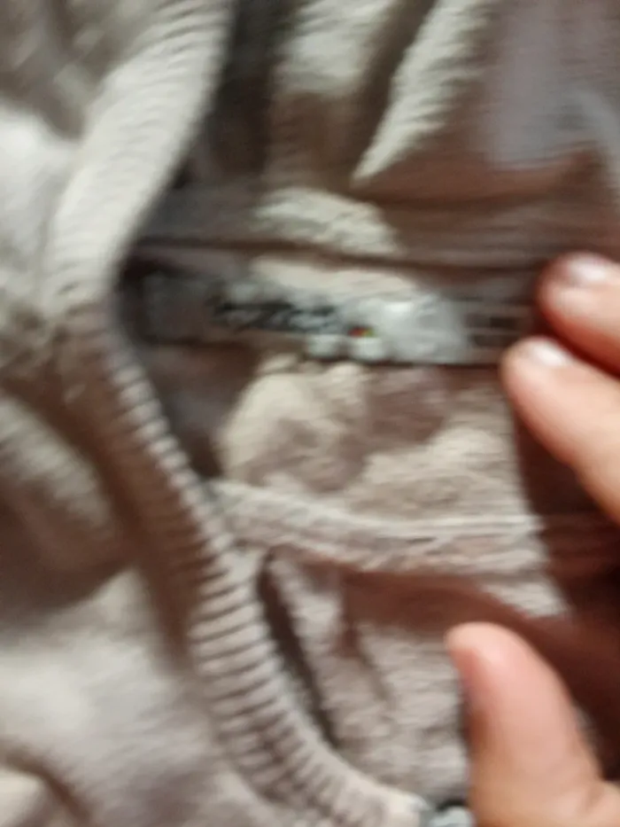 Petit gilet - photo numéro 4