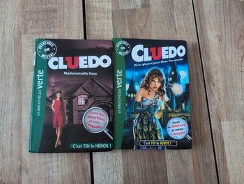 Lot livres Cluedo : c'est toi le héros !