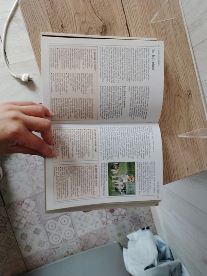 Livre soin des chiens - photo numéro 5