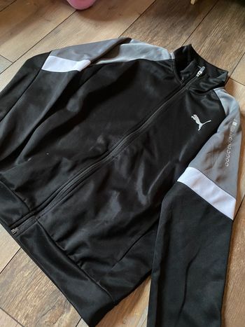 Veste survêtement Puma noire et grise 13-14 ans