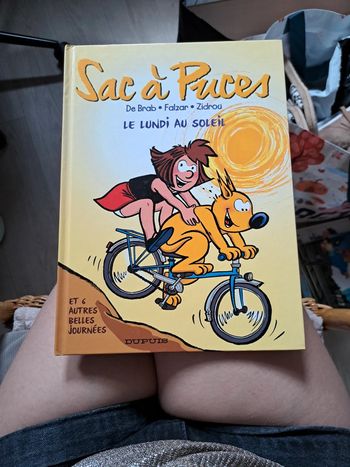 Sac à Puces: le lundi au soleil