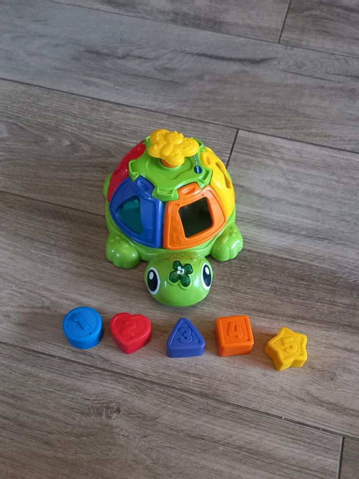 Tortue tourni + forme + couleur
