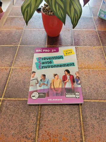 Prévention santé environnement 2de bac pro