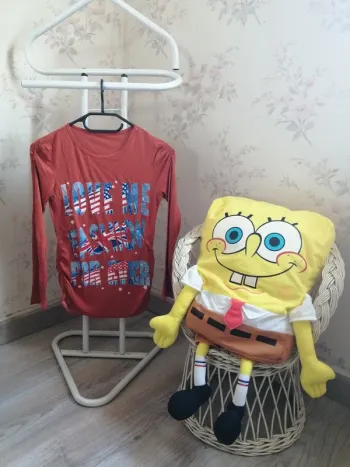 Tee-shirt à manches longues rouille à message / sans marque / (12ans)