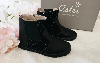 Bottes Bottines cuir Zip Aster T25
