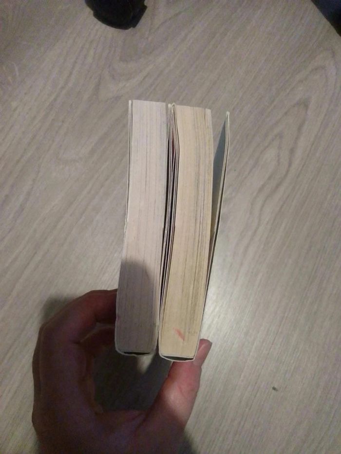 Manga plum 1 et 2 - photo numéro 4
