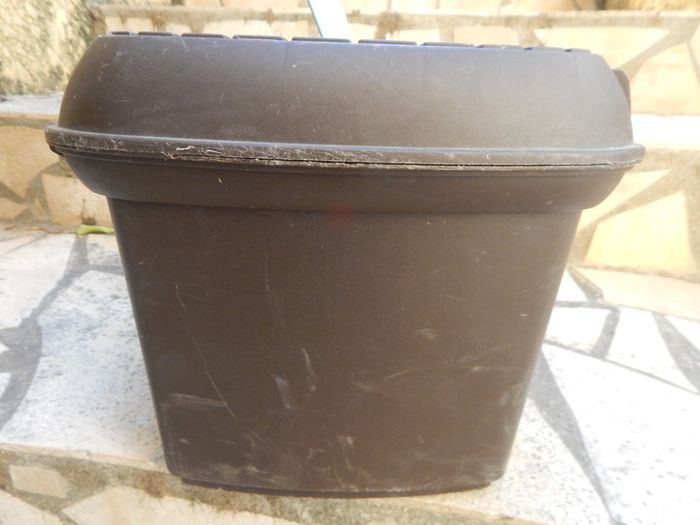 bac à brosse + brosses - photo numéro 3