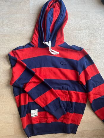 Sweat capuche Lacoste