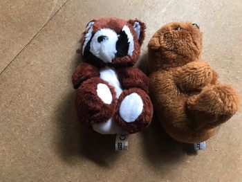 Animaux en peluche
