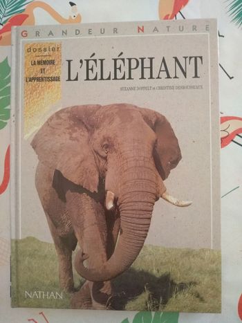 Livre Grandeur Nature L'éléphant