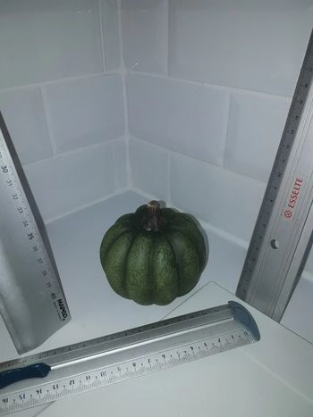 Citrouille Halloween