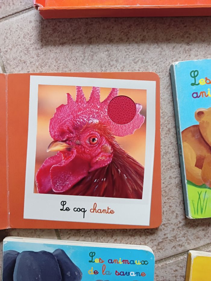 Mon coffret des animaux - photo numéro 7