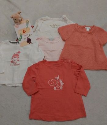 Lot 5 t-shirt 6 mois 