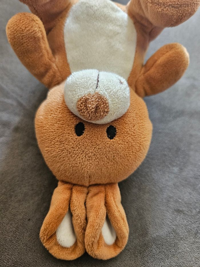 Lapin - photo numéro 2