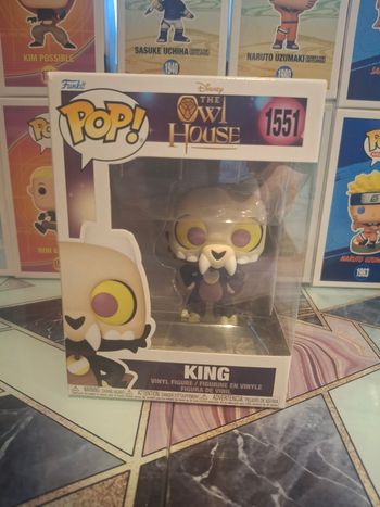 Pop owl house 1551 king 