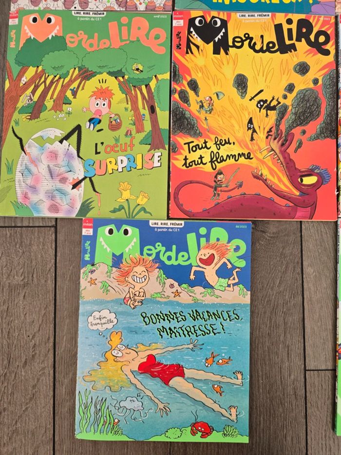 11 livres Mordelire - photo numéro 4
