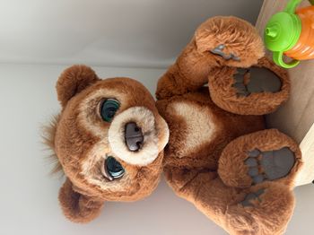 Peluche interactive Furreal Friends Cubby L'ours curieux