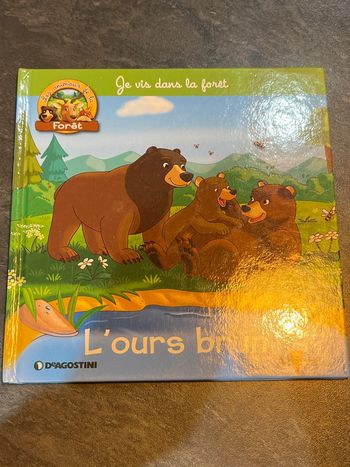 Livre jeunesse l’ours brun