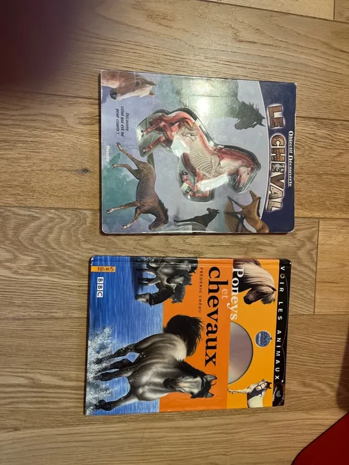 Lot de 2 livres thème cheval