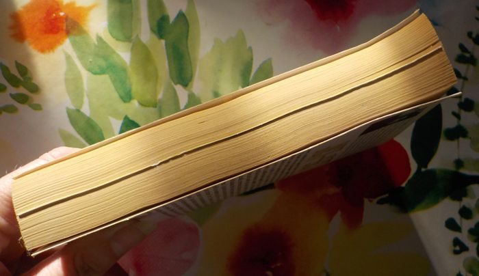 Jet-Set de Lynn Erickson Harlequin Best-Sellers n°041 - photo numéro 4