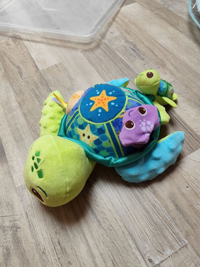 Juju la tortue - photo numéro 2