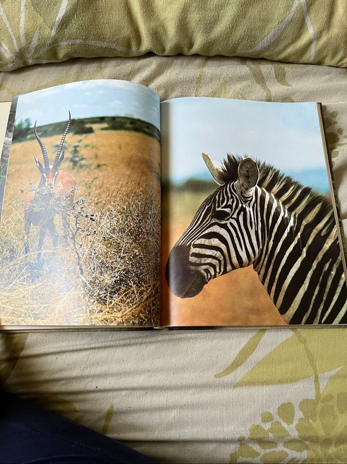 Livre. Les grandes énigmes de la vie des animaux - photo numéro 5