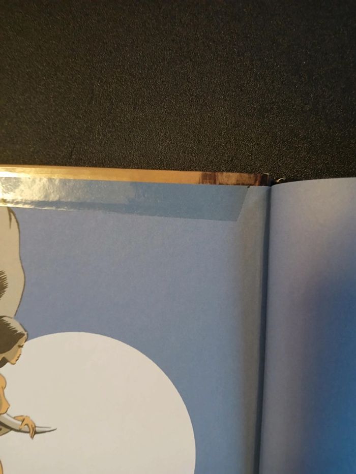 Bd india Dreams 1,EO - photo numéro 5