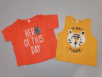 Tee-shirt (lot x2) carrefour, 23mois. etat neuf.