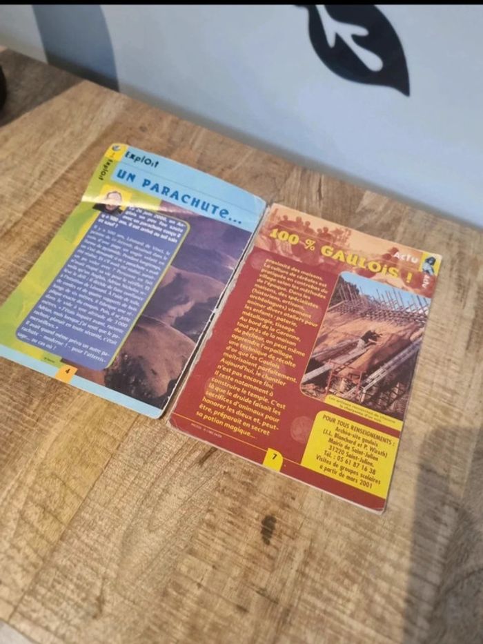 Histoires vraies erasme vercingetorix - photo numéro 2